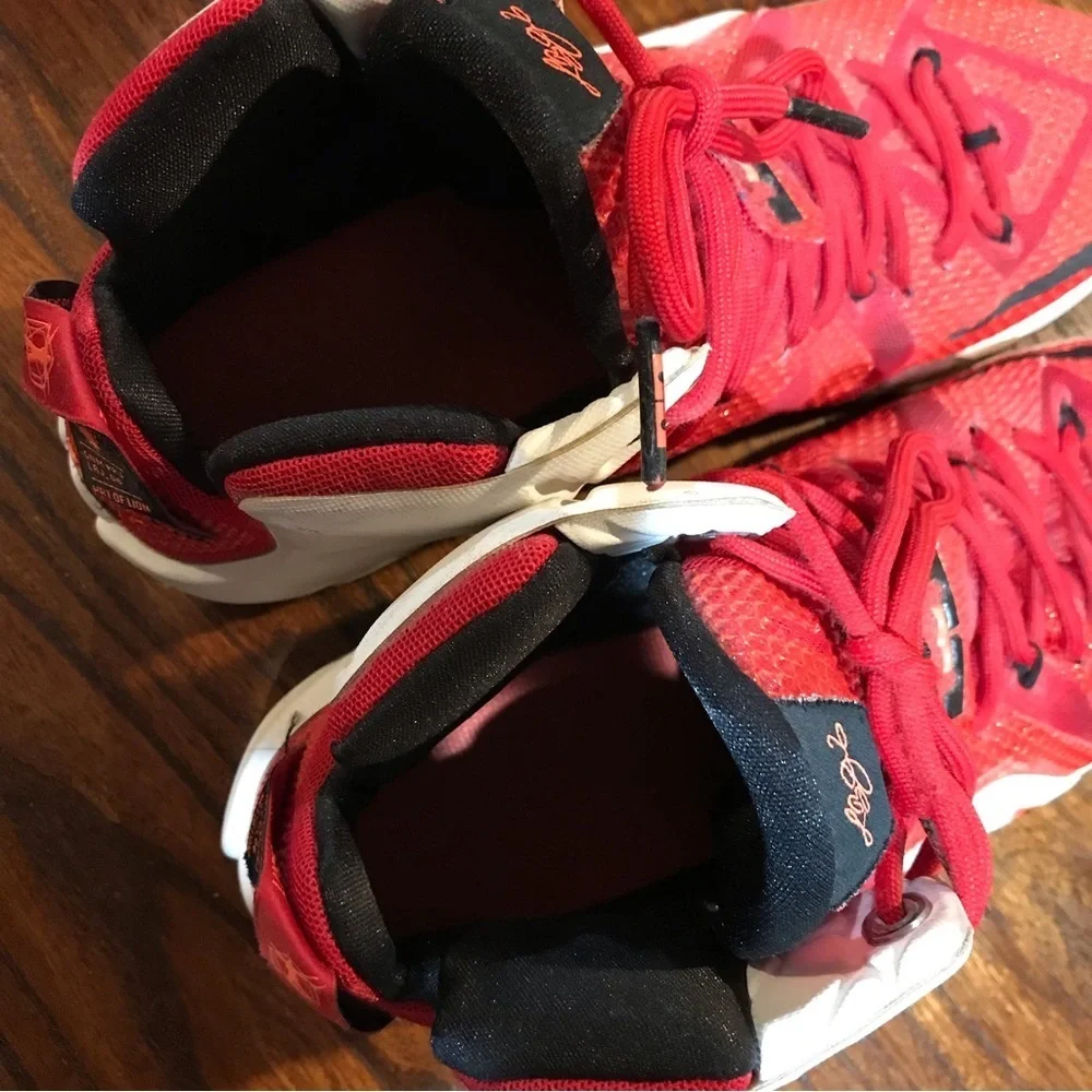 👟Nike Lebron XII Heart of a Lion Sneakers